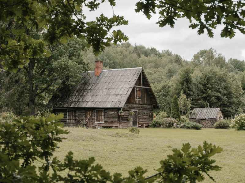 La follia che ci contiene: l’arte segreta di Alice&nbsp;Munro